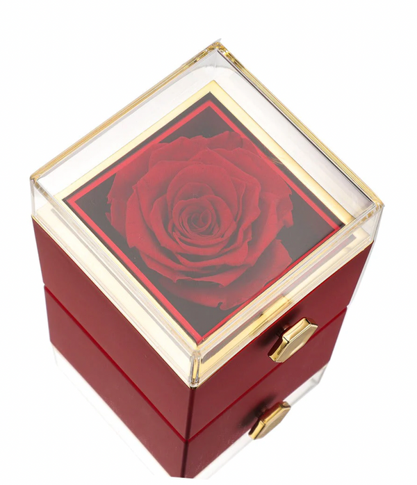 Preserved Rose Box with Double Heart Necklace