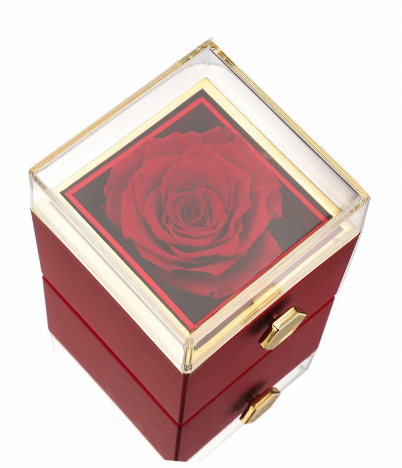 Preserved Rose Box with Double Heart Necklace